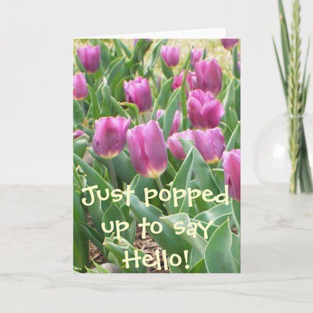 CARTÃO APENAS APAREÇA PARA DIZER OLÁ! (Frente)