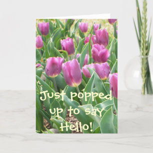 CARTÃO APENAS APAREÇA PARA DIZER OLÁ!