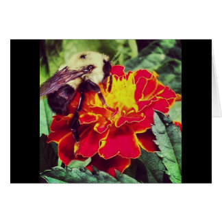 Cartão Apenas Bee-Causa!