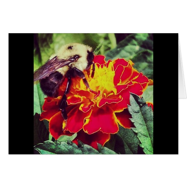 Cartão Apenas Bee-Causa! (Frente Horizontal)