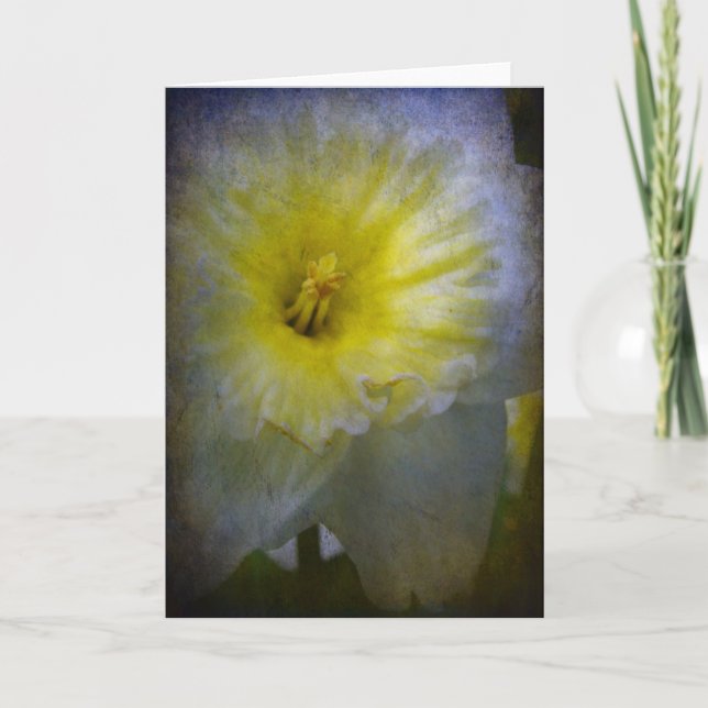 Cartão Apenas Daffy (Frente)