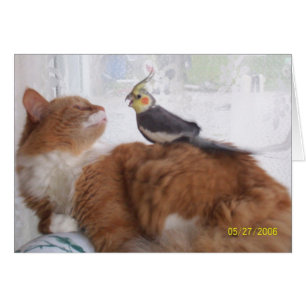 Cartão Apenas deixando cair perto para dizer olá!