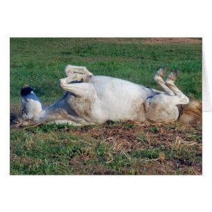 Cartão Apenas descansando