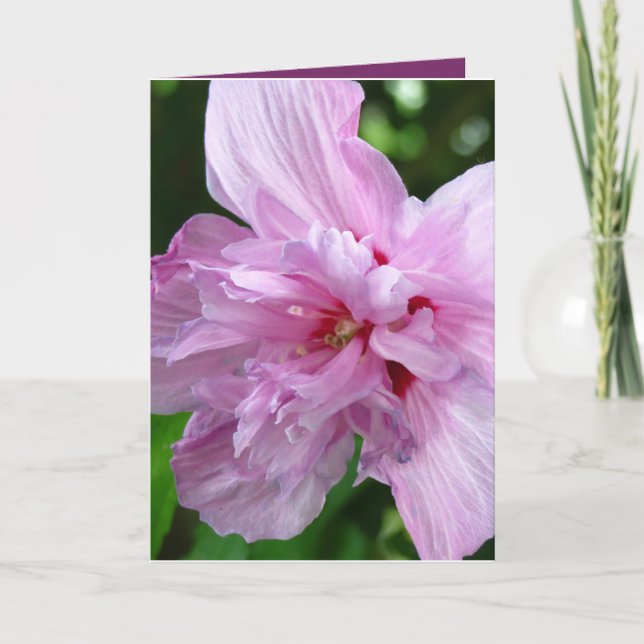 Cartão Apenas Dizendo "Olá, Flor" (Frente)