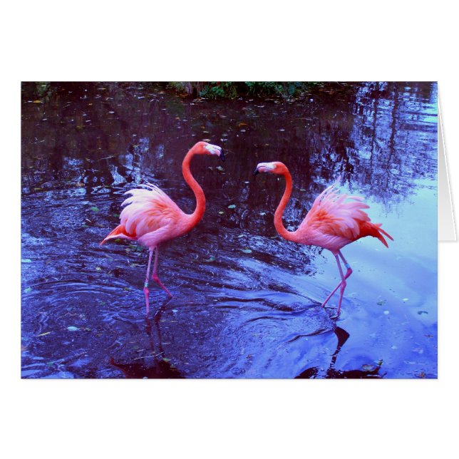 Cartão Apenas dois flamingos (Frente Horizontal)