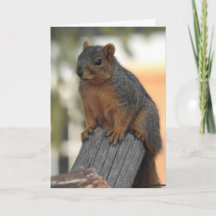 Apenas entrando para dizer oi