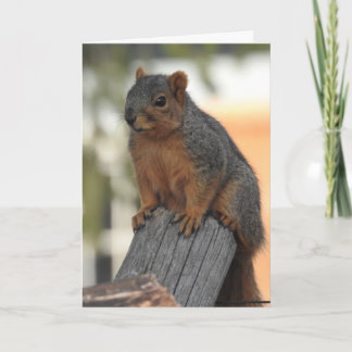 Cartão Apenas entrando para dizer oi