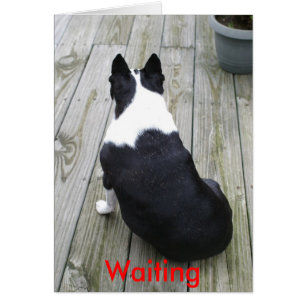 Cartão Apenas esperando…, esperando