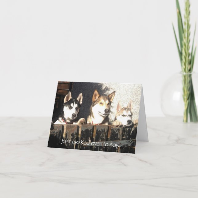 Cartão Apenas espreitado sobre para dizer. (Frente)