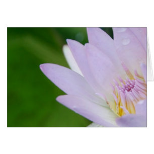 Cartão Apenas para você/Lotus na fotografia