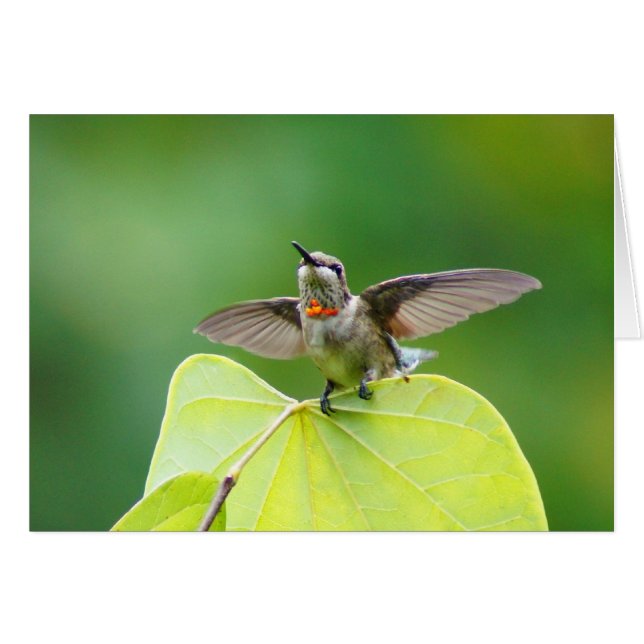 Cartão Apenas parando! (Frente Horizontal)