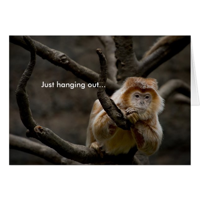 Cartão Apenas saindo... (Frente Horizontal)