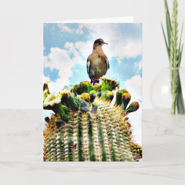 Cartão Apenas sitting em um saguaro (Frente)