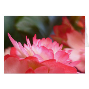 Cartão Apenas três coisas