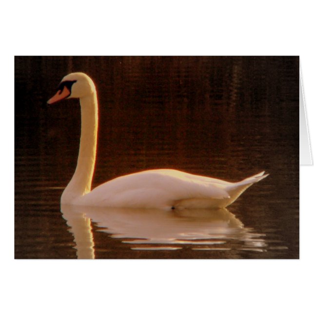 Cartão Apenas um sonho (Frente Horizontal)