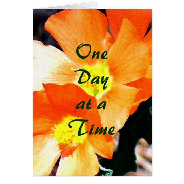 Cartão "Apenas uma erva" ODAT (Frente)