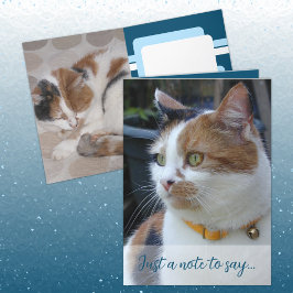 Cartão Apenas uma nota para dizer 3 fotos de gatos azuis