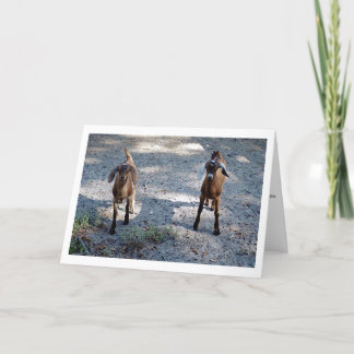 Cartão Apenas você e mim miúdo!