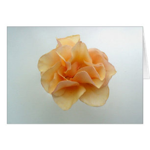 Cartão Aperfeiçoe cor-de-rosa