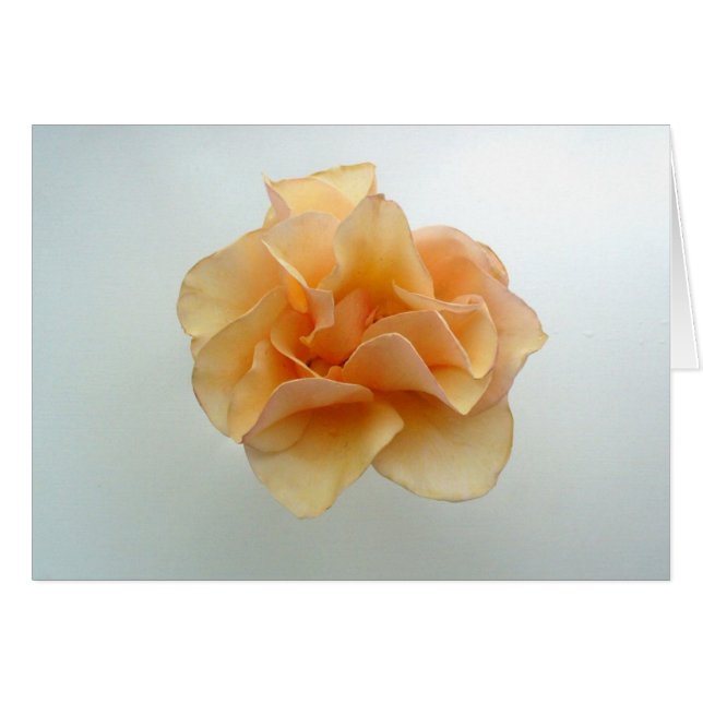 Cartão Aperfeiçoe cor-de-rosa (Frente horizontal)