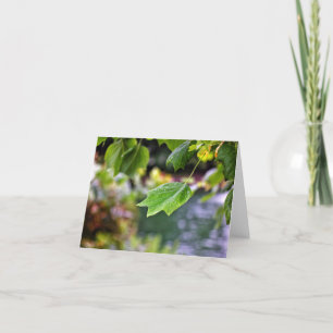 Cartão Após as placas de nota de chuva