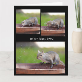 Cartão Aposentadoria de Esquilo Engraçado do grupo