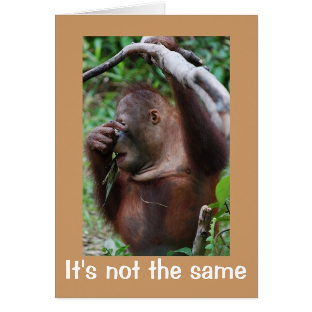 Cartão Apostrophe Atrocidade (Frente)