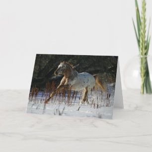 Cartão Appaloosa Horse Running in the Snow