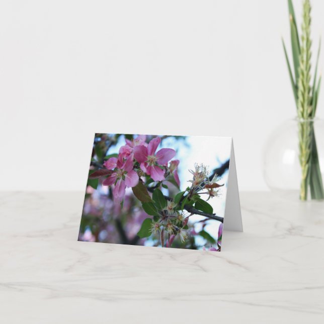 Cartão Apple floresce Notecard 1 (Frente)