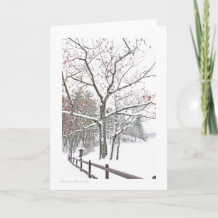 Cartão +Appointments in Nature: Greeting size