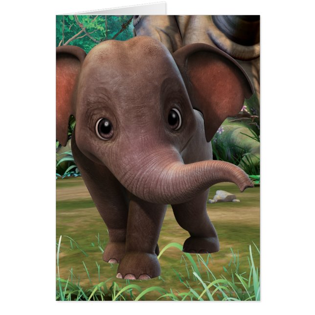 Cartão Appu (Frente)