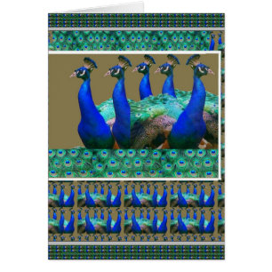 Cartão Aprecie: O pavão n empluma-se gráficos da arte