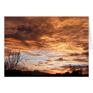 Cartão "Apresentação de Arizonas"