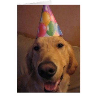 Cartão Apresse-se acima e coma-se