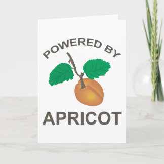 Cartão Apricot