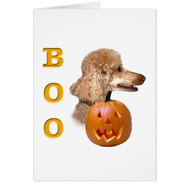 Cartão Apricot Coated Poodle Boo (Frente)