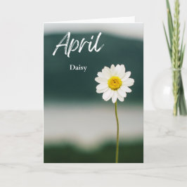 Cartão April White Daisy Birth Mês Flor