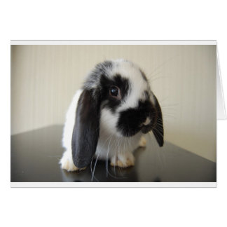 Cartão Apron para a feira