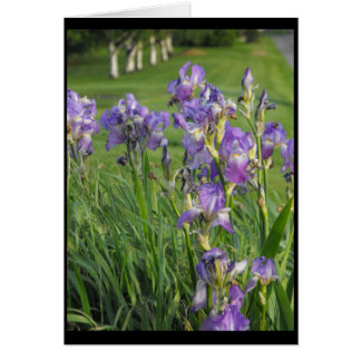 Cartão Apronte assim para o ~ 21 do primavera