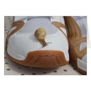 Cartão Apronte para a competência do caracol