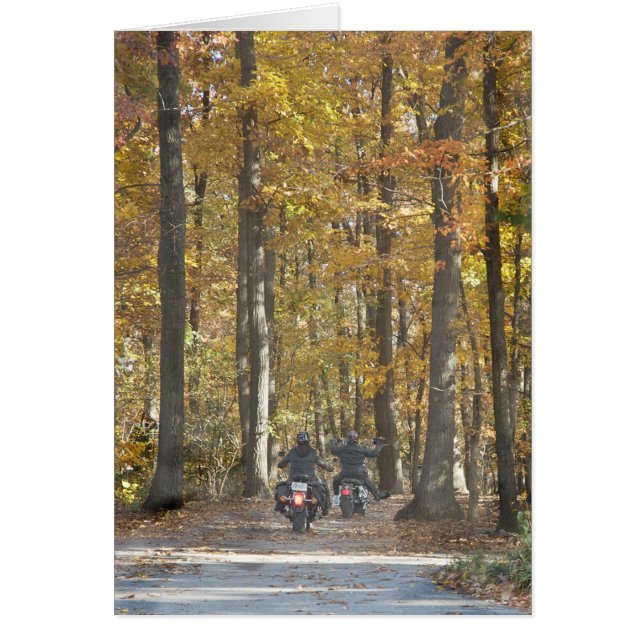 Cartão Aproveite a carona! (Frente)