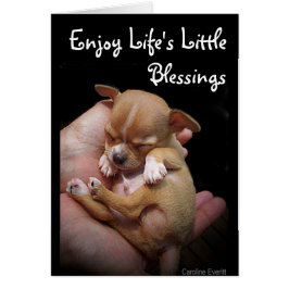 Cartão Aproveite as pequenas bençãos da vida