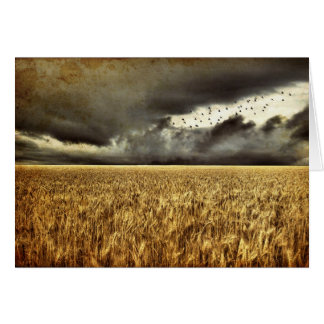 Cartão Aproximando-se da Placa Storm