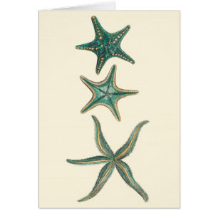 Cartão Aquamarine Triple Starfish