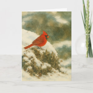 Cartão Aquarela Cardinal de inverno_1