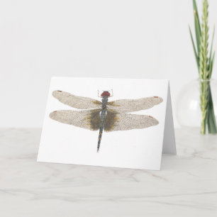 Cartão Aquarela de uma Dragonfly Black Saddlebags Masculi