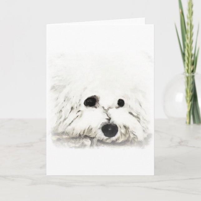 Cartão Aquarelle de cabeça de Bichon (Frente)