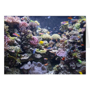 Cartão Aquário