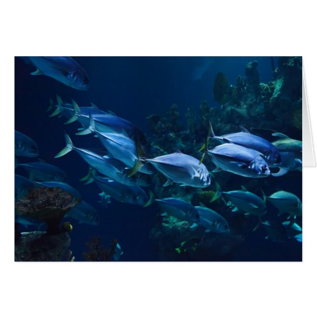 Cartão Aquário (Frente horizontal)