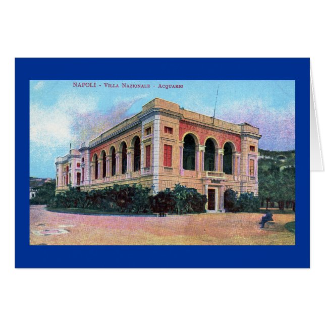 Cartão Aquário, vintage 1915 de Napoli Nápoles Italia (Frente Horizontal)